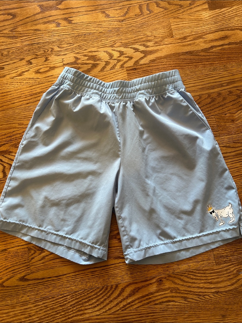 Light Blue Men’s Athletic Shorts with Dog Patch